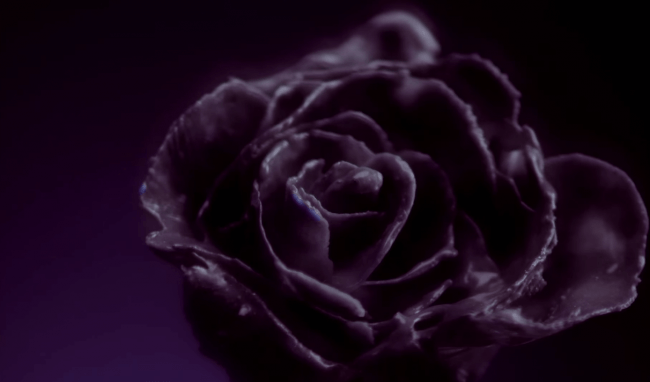 bae bae mv black rose