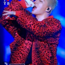 BIGBANG via URTHESUN - 2017-11-24 (details see below)_26840265579_o