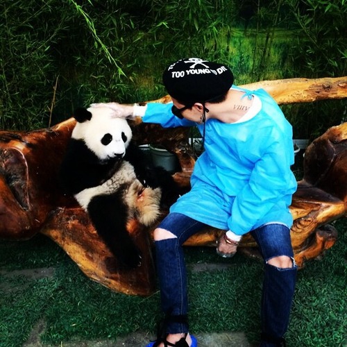 GD instagram updates 20140614: 💚🐼💚 #chengdu #panda